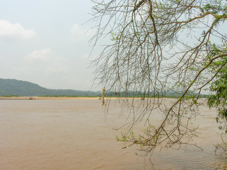 Flooded river with muddy waterの写真素材