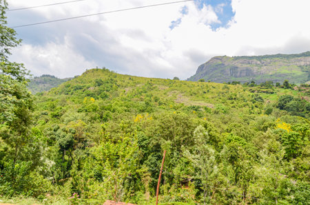 Rocky hills  of Munnar, Kerala, Indiaの写真素材