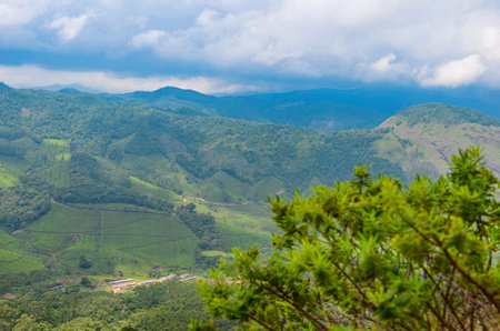 Majestic misty mountains of Munnar, Kerala, Indiaの写真素材