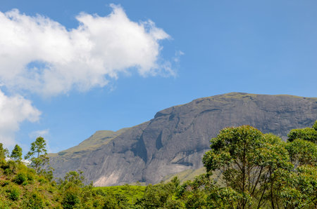 Large rock hill in the forestの写真素材