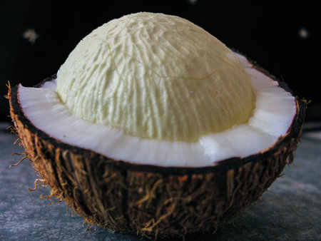 Delicious coconut sproutの写真素材