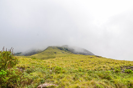 Rocky hills  of Munnar, Kerala, Indiaの写真素材