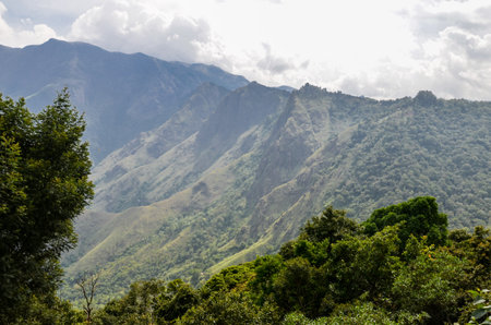 Misty mountains of Munnar, Kerala, Indiaの写真素材