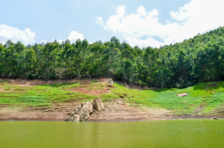 A rivulet on Munnar hills in Kerala, Indiaの写真素材