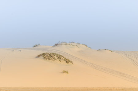 Desert landscapeの写真素材