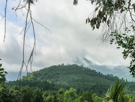 Cloud covered hill tops at Madikeri, Indiaの写真素材