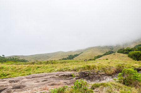 Misty mountains of Munnar, Kerala, India