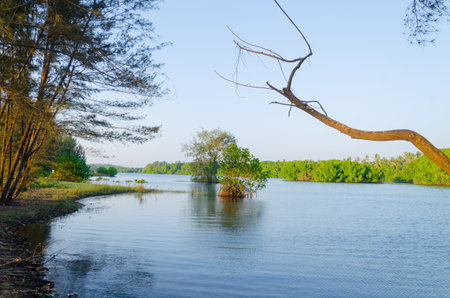Backwaters at Battapady, Kanvatheertha, Keralaの写真素材