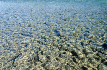 Amazing view of the Vedder Riverbed with pebbles visible through crystal clear water. The sunlight...