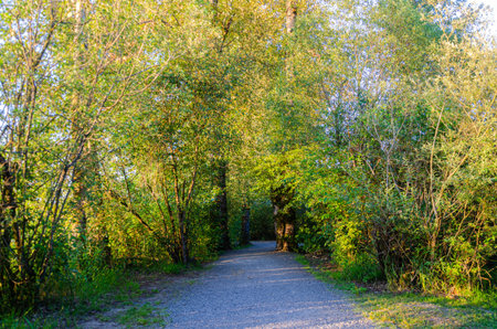 Matsqui Trail along the Fraser River bank near Mission Bridge, Fraser Valley, British Columbia,...