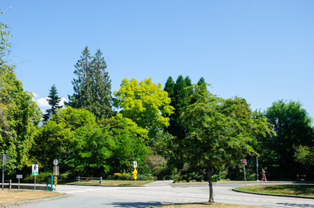 Colorful view of the Stanley Park in Vancouver, BC, Canadaの写真素材