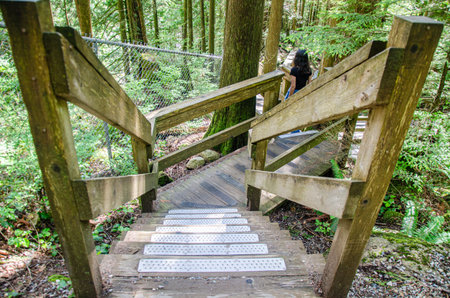 Downhill pathway leading to  the Cascade Falls located Northeast of Mission, BC, Canada