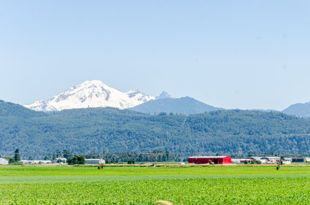 Agricultural farms in Mission, Fraser Valley, British Columbia, Canada. Mt Baker is seen in the backgroundの写真素材