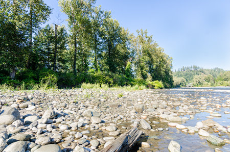 View of the Vedder River winding through Chilliwack, British C,olumnbia, Canada, with pebbles on the river bedの写真素材