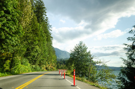 Cultus lake park road lined with pine trees in Chilliwack, Fraser Valley, British Columbia, Canadaの写真素材