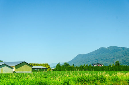 Agricultural farms in Chilliwack, Fraser Valley, British Columbia, Canada