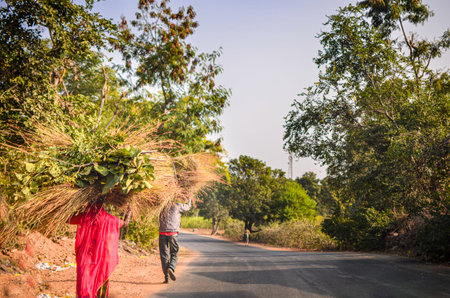 A village couple heading home carrying bundle of grass on their headの写真素材