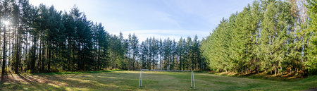 A green turf Football training ground surrounded by pine trees
