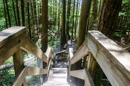 Uphill pathway leading to  the Cascade Falls located Northeast of Mission, BC, Canada