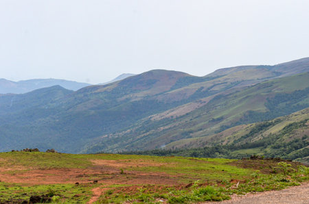 Mullayanagiri range of mountains near Chickmagalur, India