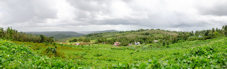 Pictureque view of the hills and valleys of Vilakkannur in Kannur Dist, Kerala, Indiaの写真素材