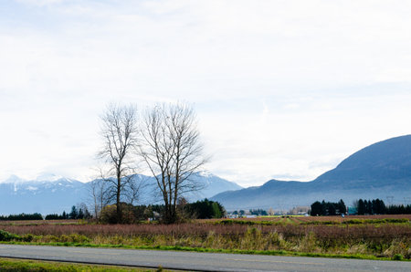 View of rural canada in autumn on Expressway from Abbotsford to Hope in  BC, Canada with snow capped...