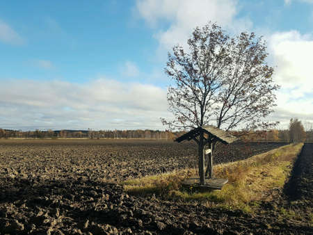 Empty fields - a single tree and an old fountain at the end of the summer.の素材