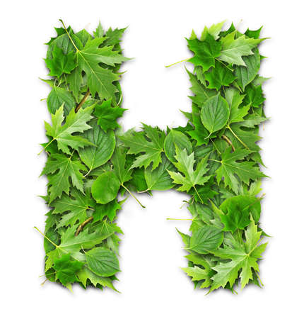 Lettering on a green background GREEN technologiesの写真素材