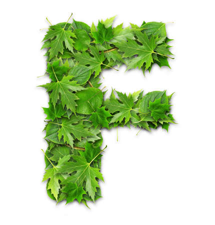 Lettering on a green background GREEN technologiesの写真素材