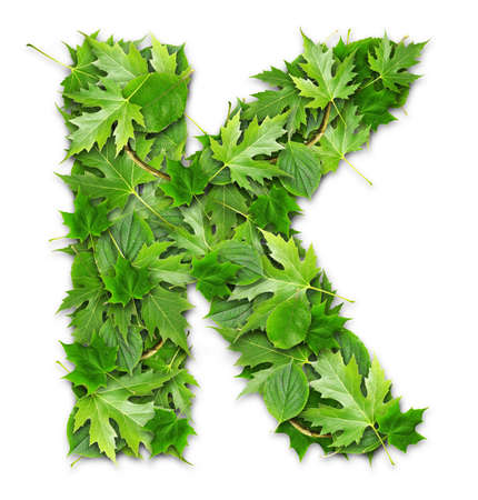 Lettering on a green background GREEN technologiesの写真素材