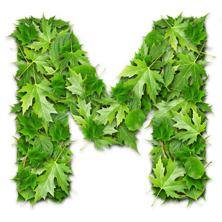 Lettering on a green background GREEN technologiesの写真素材