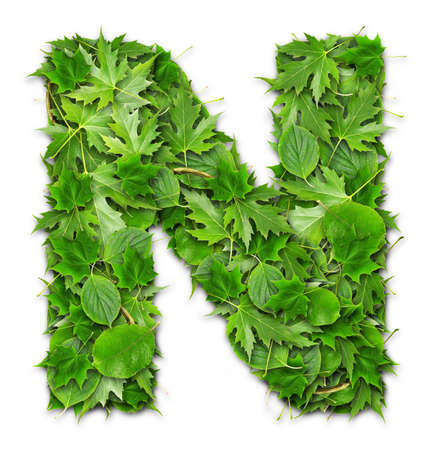 Lettering on a green background GREEN technologiesの写真素材