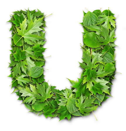 Lettering on a green background GREEN technologiesの写真素材