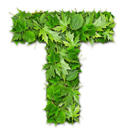 Lettering on a green background GREEN technologiesの写真素材