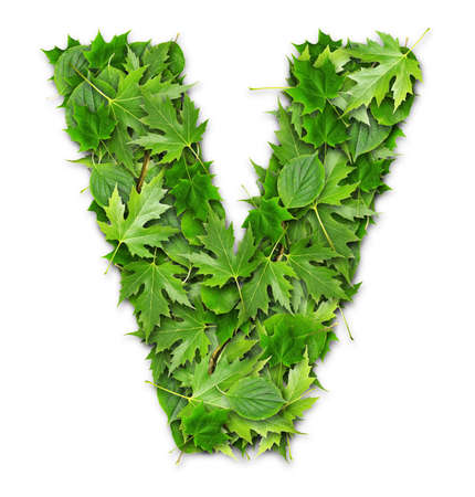 Lettering on a green background GREEN technologiesの写真素材