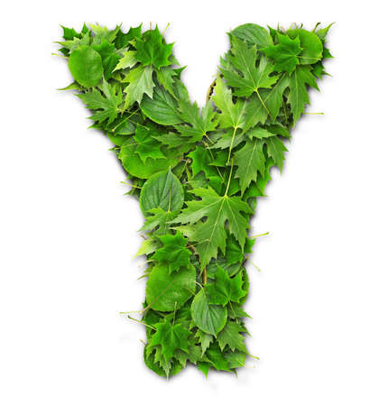 Lettering on a green background GREEN technologiesの写真素材