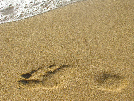 Footprints on the beach sandの写真素材