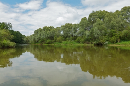 Summer landscape with river, forest and cloudy skyの写真素材