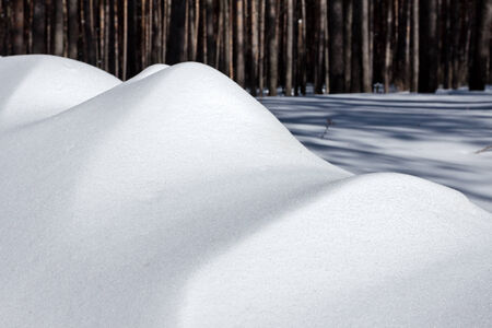 Bank of snow pile in a forest in a bright winter afternoonの写真素材