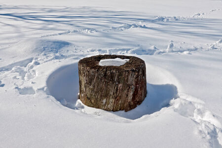 A thick stub in snow in a sunny afternoonの写真素材