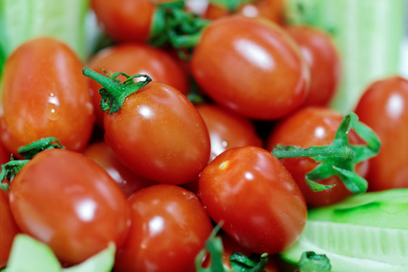 Fresh cherry tomatoes with selected focus on blurry backgroundの写真素材