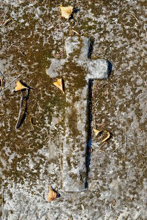 Fragment of a mossy gravestone with embossed cross filling frameの写真素材