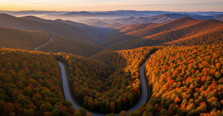 Aerial view of the road in the mountains. Beautiful autumn landscape.の素材