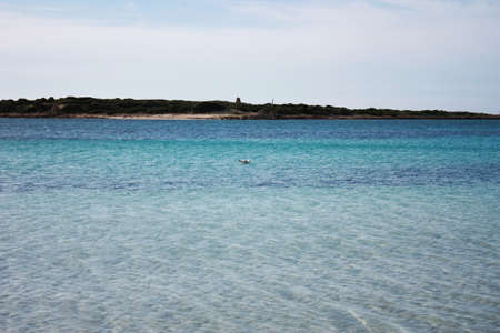 Island scenery, beach, beautiful bay seaside, Balearic Islands, Mallorca, Spain, Mediterranean Sea.