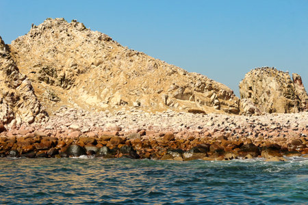 Birds colonies by Ballestas Island, National Reserve Park, Paracas, Peruの写真素材