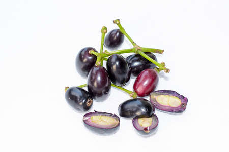 Jambolan plumの写真素材