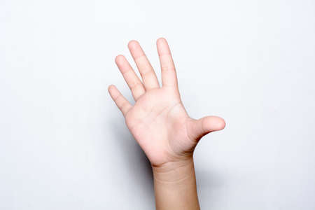 Girl raising five fingers up on hand on white background.の写真素材
