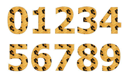 Tiger Texture pattern on number