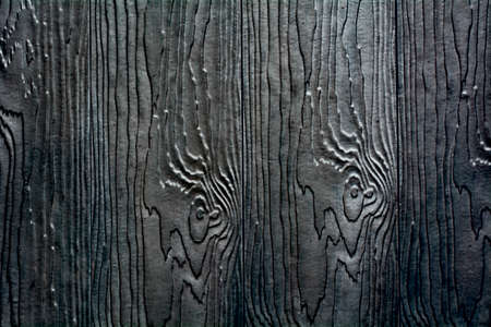 Wood Texture