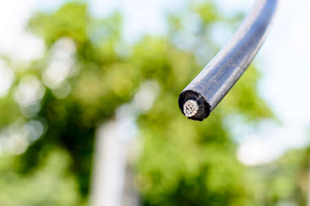 The big black cable on nature backgroundの写真素材